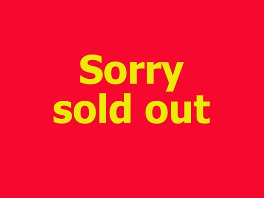 Denali Gen II Can Bus CanSmart Unit For K1600GT/GTL/Sport/Bagger/GA (2022 models)